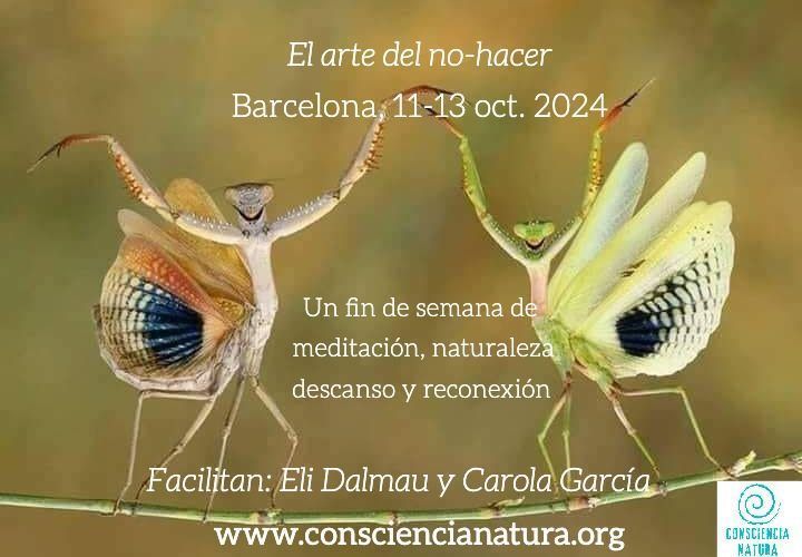 Retiro de Mindfulness : El arte de no hacer. Sant Martí-Barcelona del 11 al 13 de octubre.