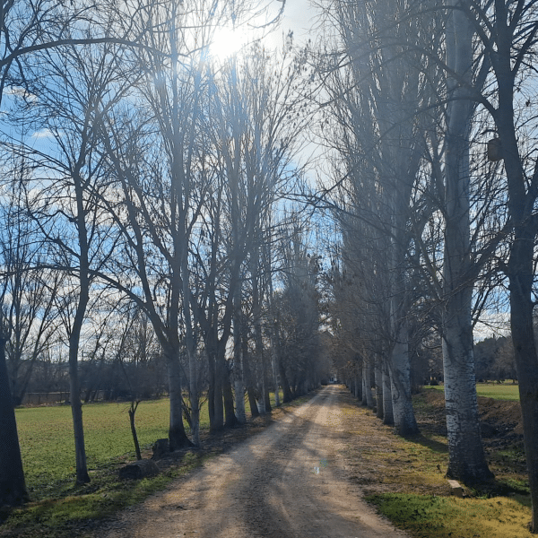 Retiro de silencio: Vivirlo Todo. Santa María de Huerta-Soria del 4 al 9 de diciembre.